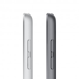 Apple iPad 10.2-inch 9th Gen Wi-Fi + Cellular 256GB - Space Grey
