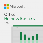 Microsoft Office Home and Business 2024 - EP2-06604NR